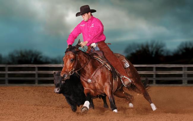 Billy Royal® Trainers Choice Arabian Training Saddle